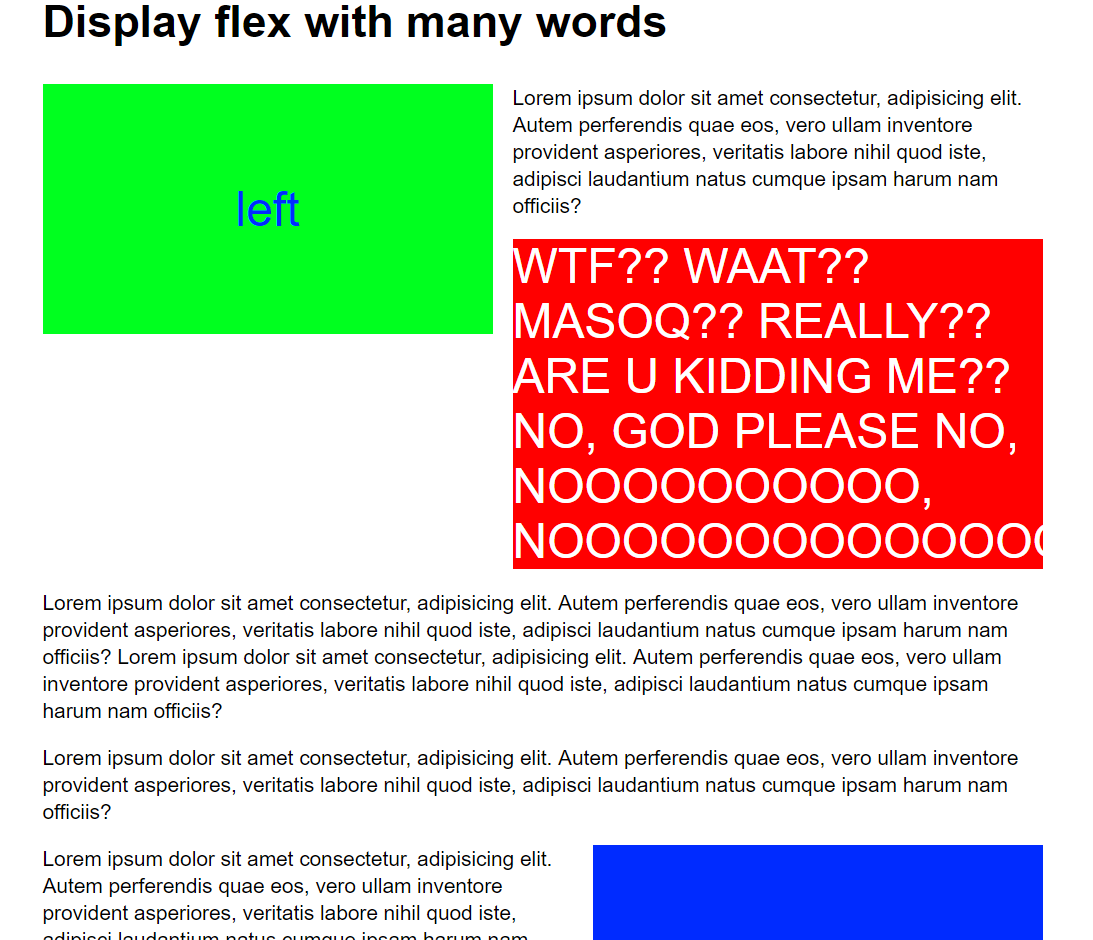 Teste com float utilizando o display flex com muitas palavras